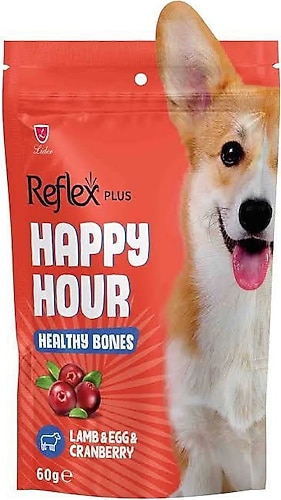 R. HAPPY HOUR SAĞLIKLI KEMİKLER İÇİN DESTEKLEYİCİ KÖPEK 60 GR