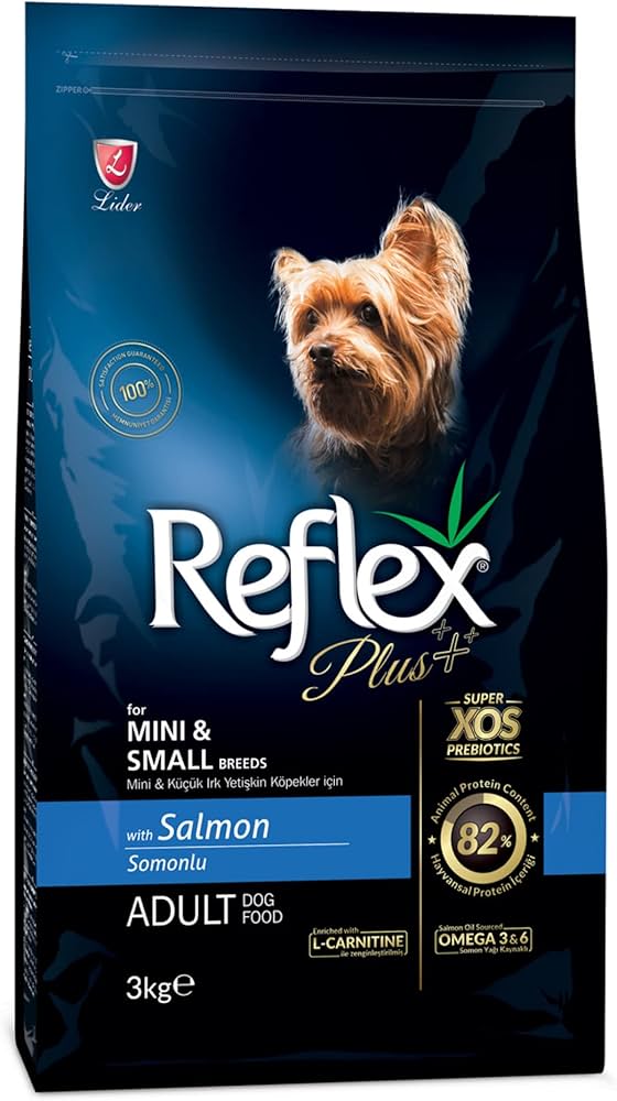 R. PLUS SOMONLU MİNİ VE KÜÇÜK IRK YETİŞKİN KÖPEK MAMASI 1 KG				