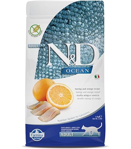 N&D Ocean Morinalı, Bal Kabaklı & Karidesli Yavru Kedi Maması 1,5 kg