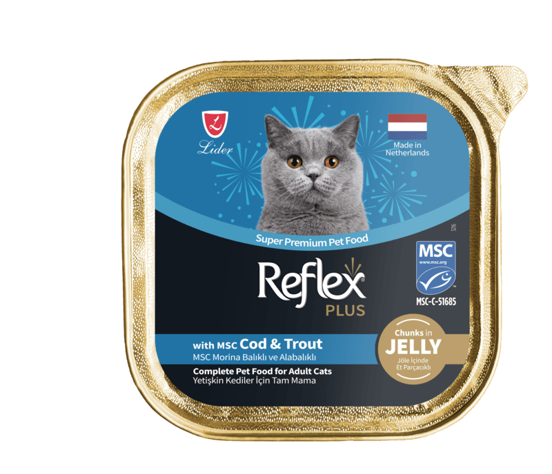 R.PLUS JÖLE İÇİNDE MORİNA BALIKLI VE SOMONLU YET. KEDİ MAMASI 85 G	
